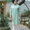 Giza Cotton Digital Print Panjabi - Soft Green