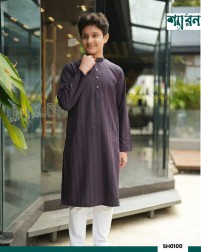 Band Collar Viscose Cotton Panjabi for Boys